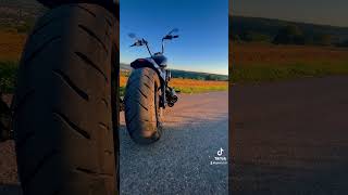 Street Bob Custombike harleydavidson nature viralvideo viralvideos custom motorcycle bike [upl. by Aissert762]