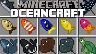 Minecraft OCEANCRAFT MOD  PLENTY OF SHARKS WHALES AND STINGRAYS Minecraft [upl. by Sharity]