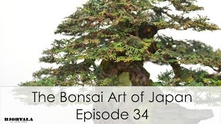 The Bonsai Art of Japan  Episode 34 [upl. by Ranip]