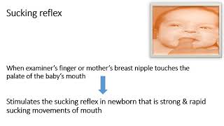 Neonatal Reflex  Sucking and Rooting Reflexes  Pediatrics [upl. by Chane]