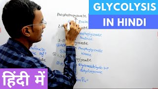 Glycolysis in Hindi [upl. by Elleinet544]