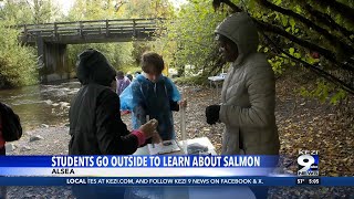 Benton County students go outside to learn about salmon [upl. by Aray]