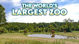 Welcome to the Worlds Largest Zoo [upl. by Finer]