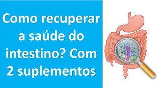 Como recuperar a saúde do seu intestino Com 2 suplementos  Dr Marco Menelau [upl. by Ronnica]