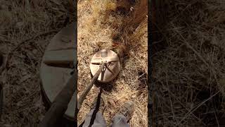 This is where I am detecting at metaldetecting detectorists detecting [upl. by Burbank381]