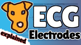 ECG Part 2 Electrodes General principles [upl. by Gile]