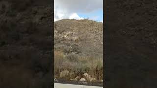 CAPTAIN SHACHAAWAR FOPE IN LACHISH SOUTHWEST ISRAEL PART1 [upl. by Ruben495]