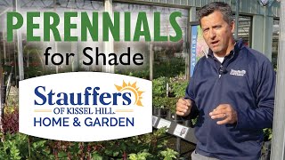 Stauffers of Kissel Hill  Perennial Plants for Shade [upl. by Mihcaoj]