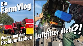 Kartoffeln roden 🥔 kraut abschlagen  hafer laden amp mehr  Vlog 126 [upl. by Etteniotnna]