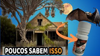 Usei isso e acabei com ratos e baratas até os MORCEGOS FORAM EMBORA MATA TUDO MORRIA E NÃO SABIA [upl. by Church813]