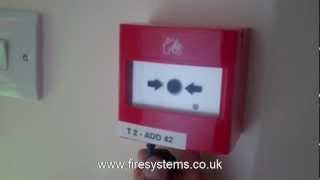 Fire Alarm Weekly Test  Fire Systems Ltd [upl. by Gerrie]