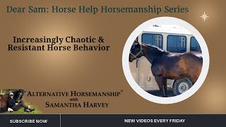 Increasingly Chaotic amp Resistant Horse Behavior Dear Sam Horse Help [upl. by Cirde]