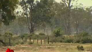 Raw Video Locust Swarms Invade South Australia [upl. by Serolod71]