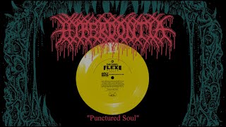 Hyperdontia  Punctured Soul Decibel Version 2020 [upl. by Orecul]