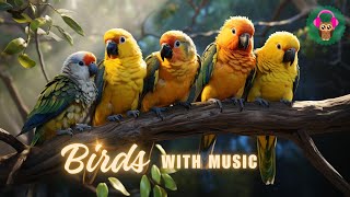 Ever Tried Relaxing to Pure Birdsong  🤔 Discover the Magic 🕊️🎶 [upl. by Najram]