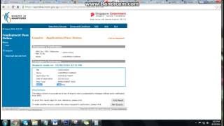 How to check Singapore SPASS EPASS Status in EP Online WebSite [upl. by Dnomzed561]