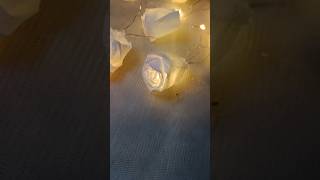 Tissue Rose light 🌹ytshortsvideo relateable ytshorts shortvideo [upl. by Pinter562]