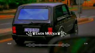 Azeri Bass Music 2024  Palejenya Super Mahnı Remix 2024 Orginal Mix [upl. by Eenahc]