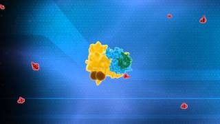 Ubiquitin System Animation  Nobel Prize in Chemistry 2004 Technion [upl. by Ahsahtan]