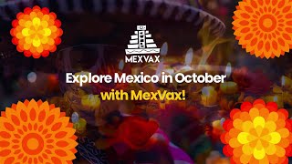 Experience the magic of October in Mexico 🎉💀 [upl. by Luapsemaj]