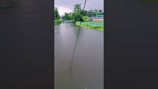 Hotat BristiBeautiful village Assam youtubeshorts shorts video [upl. by Norb]