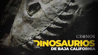 Cronos Dinosaurios de Baja California tras las huellas de un pasado colosal [upl. by Nnawtna794]