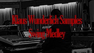 TTT Samples  Wersi Organ Swing [upl. by Hanshaw]