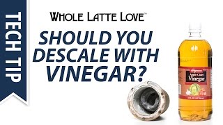 Should You Descale with Vinegar [upl. by Hendon]