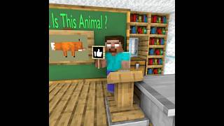 Guess the animals with Herobrine minecraftanimation funnyvideo [upl. by Guod]