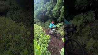 Azores Bike Expedition Moments azores biketour adventure shorts [upl. by Quartis]