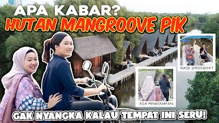 APA KABAR HUTAN MANGROVE PIK SEKARANG TERBENGKALAI KARENA BANJIR😱 [upl. by Nabatse]