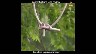 Zoomshot Pro Lens Review Lenscraft Studio photography mobilelens youtubeshorts [upl. by Harrison937]