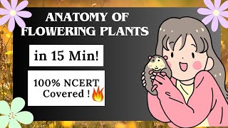 Anatomy of flowering plants in 15 min  Ncert based one shot  AIIMS NursingCNET2024 [upl. by Akins]