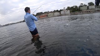 DOUBLE HOOK UP Ledge Session  Watsons Leaping Bonito [upl. by Natehc256]