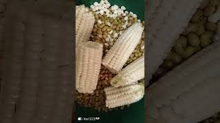 Preparing corn and beans [upl. by Remot]