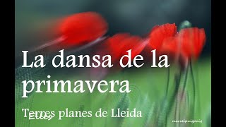 LLEIDA  LA DANSA DE LA PRIMAVERA [upl. by Belvia253]