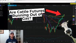 Are Cattle Futures Running Out of Gas [upl. by Annoyek]