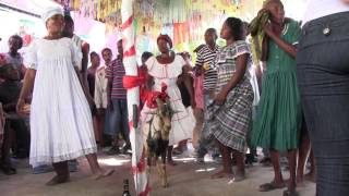 Vodou ceremony at Manbo Tilasquet day 04 [upl. by Bonnell702]