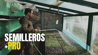 SEMILLEROS  PRO algunos TIPS que funcionan [upl. by Ahseena]