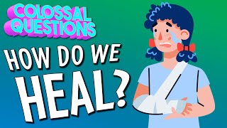 How Do We Heal  COLOSSAL QUESTIONS [upl. by Qidas]