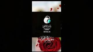 duet peace quran surah recitation viralshorts [upl. by Tinaret269]