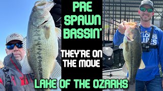 Early Spring Bass Fishing  Lake of the Ozarks [upl. by Ursulette]