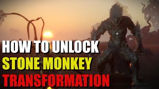 How to Unlock Stone Monkey Transformation Wukong [upl. by Gilder]