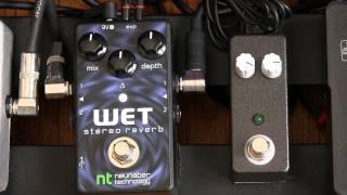 Neunaber Stereo Wet Reverb Demo [upl. by Humph]