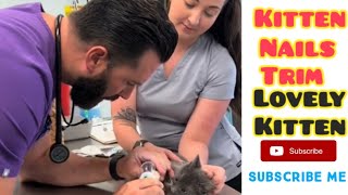 KittennailtrimThiskittenwasfoundanimals pets puppy love cat [upl. by Daney]