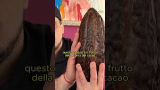 Ho deciso di provare a produrre il MIO CIOCCOLATO Parte 1 food shorts [upl. by Lasser855]