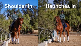 ShoulderIn and HaunchesIn Everything You Need to Know [upl. by Hanahs]