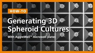 How to Generate Uniform SizeControlled 3D Spheroid Cultures with AggreWell™ Microwell Plates [upl. by Eleanor]