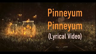 Pinneyum Pinneyum  Lyric Video  Krishnagudiyil Oru Pranayakalathu  K S Chithra [upl. by Angadresma]