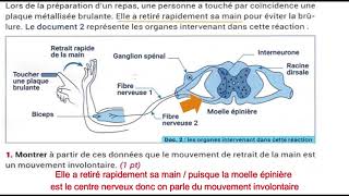 3AC  Correction Examen régional région Fès Meknès 2019 SVT [upl. by Haela84]